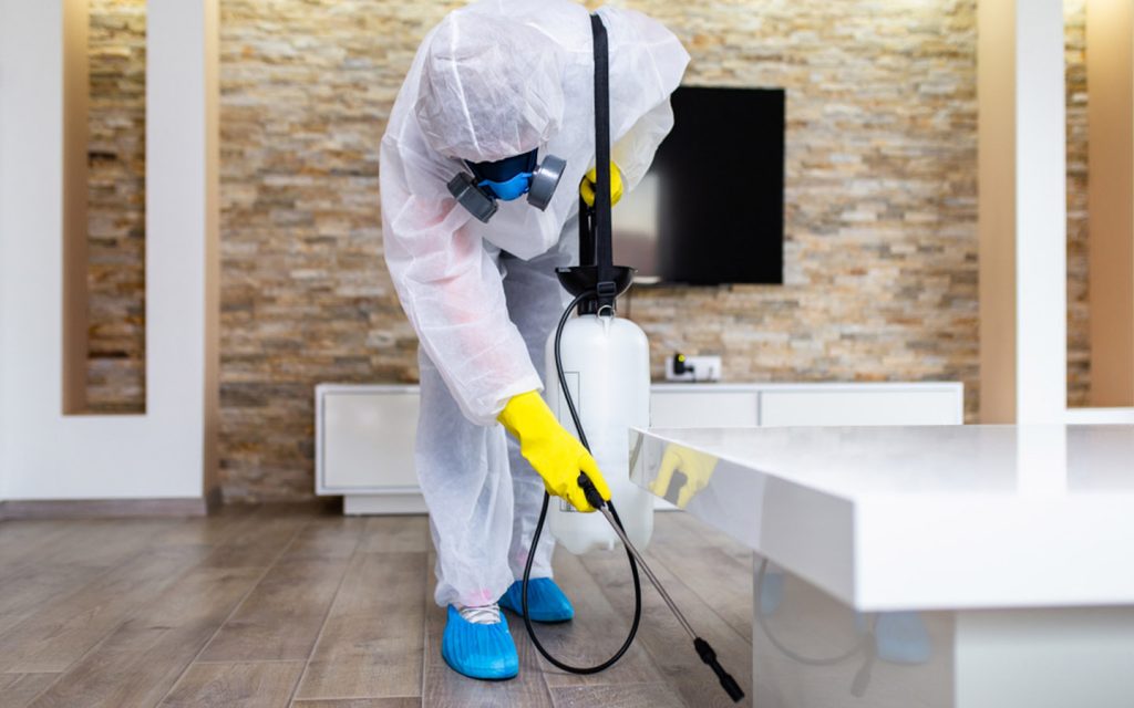Técnico da Dedetiza Aí realizando manejo de morcegos em Jurubatuba, São Paulo