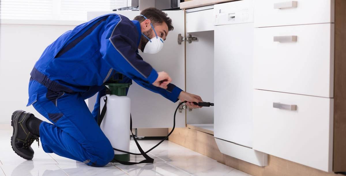 Técnico da Dedetiza Aí realizando dedetização de ratos no Campo Limpo, São Paulo